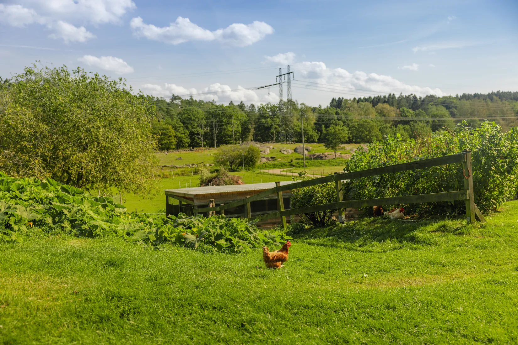 Bostadsrätt, Glöstorpsvägen 12P, Tuve, Göteborg