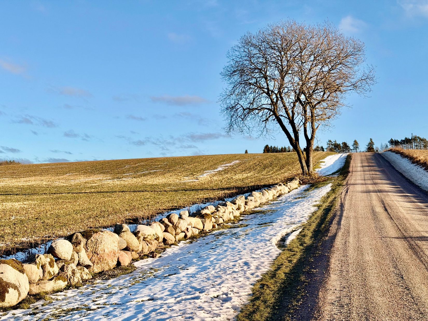 Villa, Romelandavägen 250, Diseröd, Kungälv