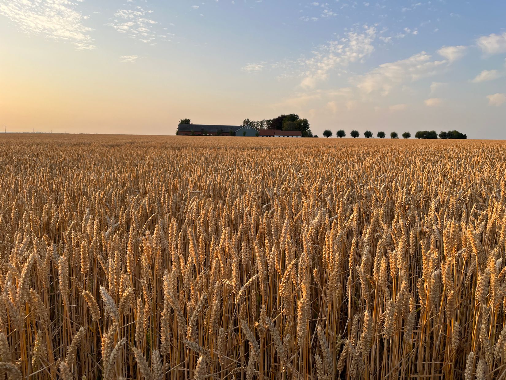 Villa, Skivarp 431, Dybäck, Skurup
