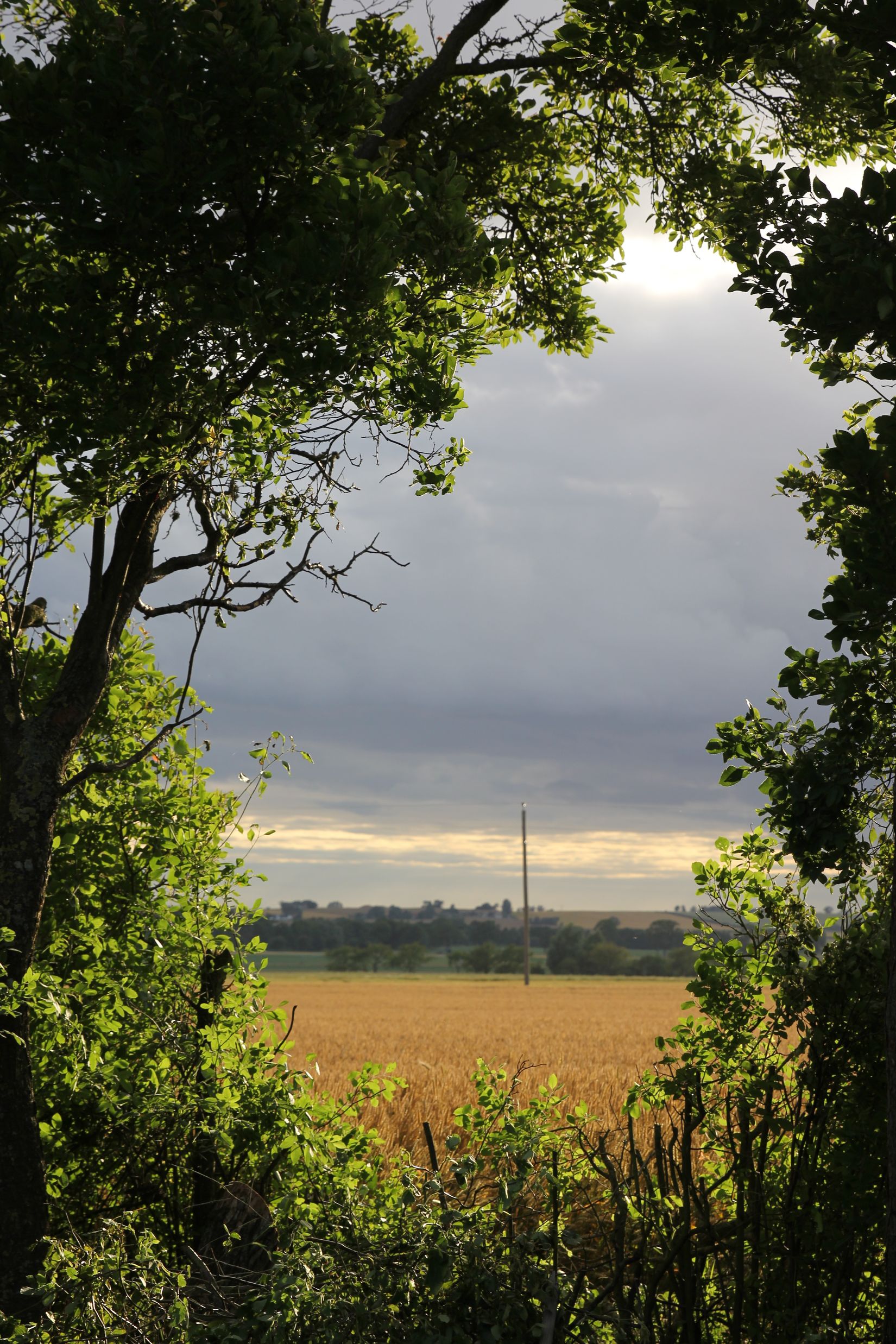 Villa, Skivarp 431, Dybäck, Skurup