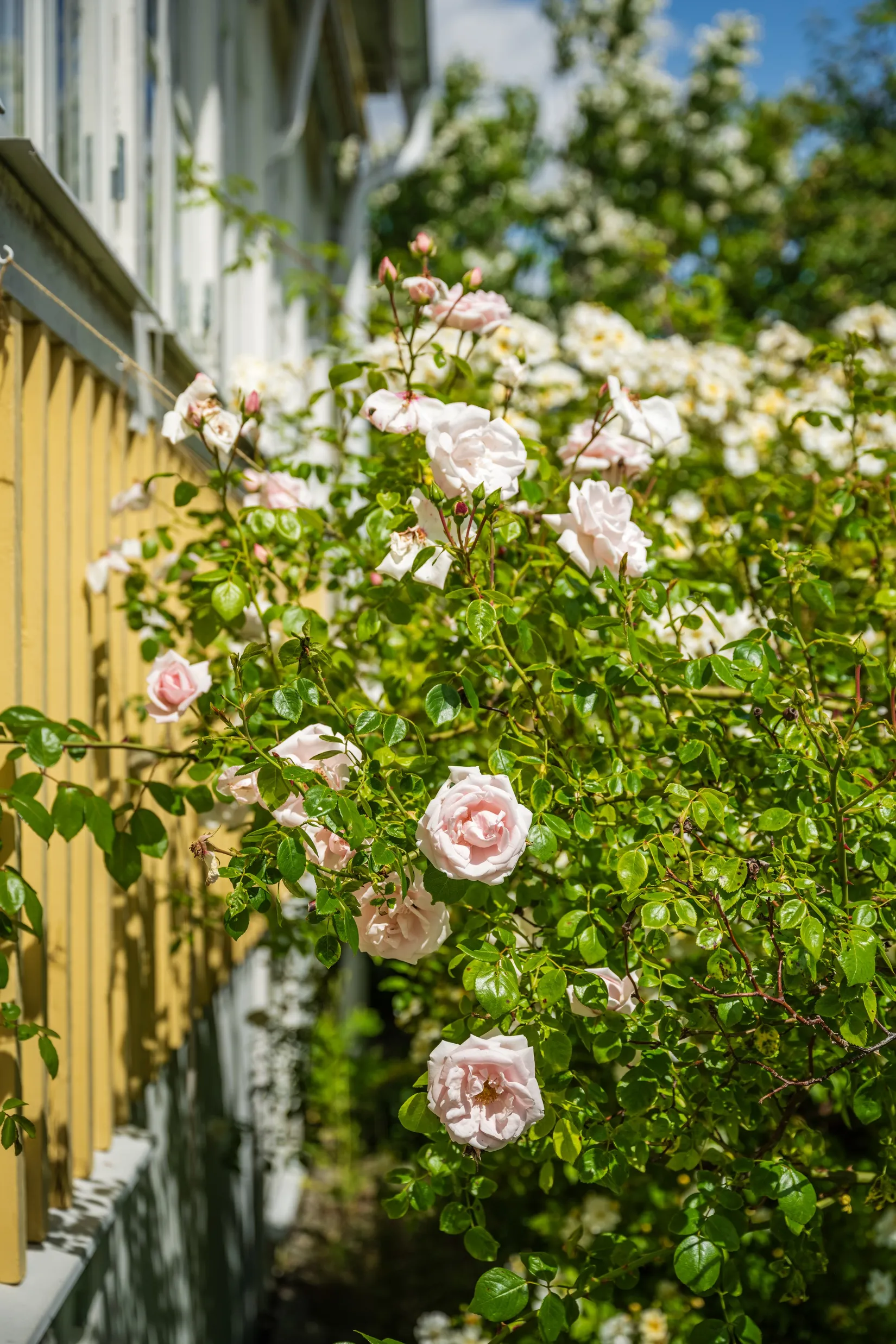 Villa, Bågvägen 17, Ålsten, Stockholm