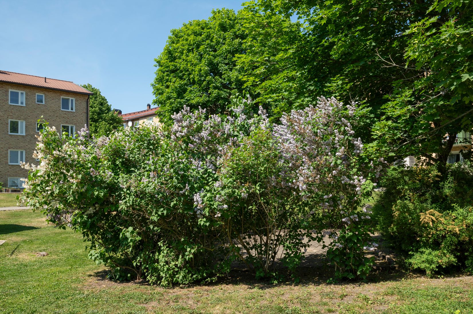 Bostadsrätt, Kallforsvägen 5, Bandhagen, Stockholm