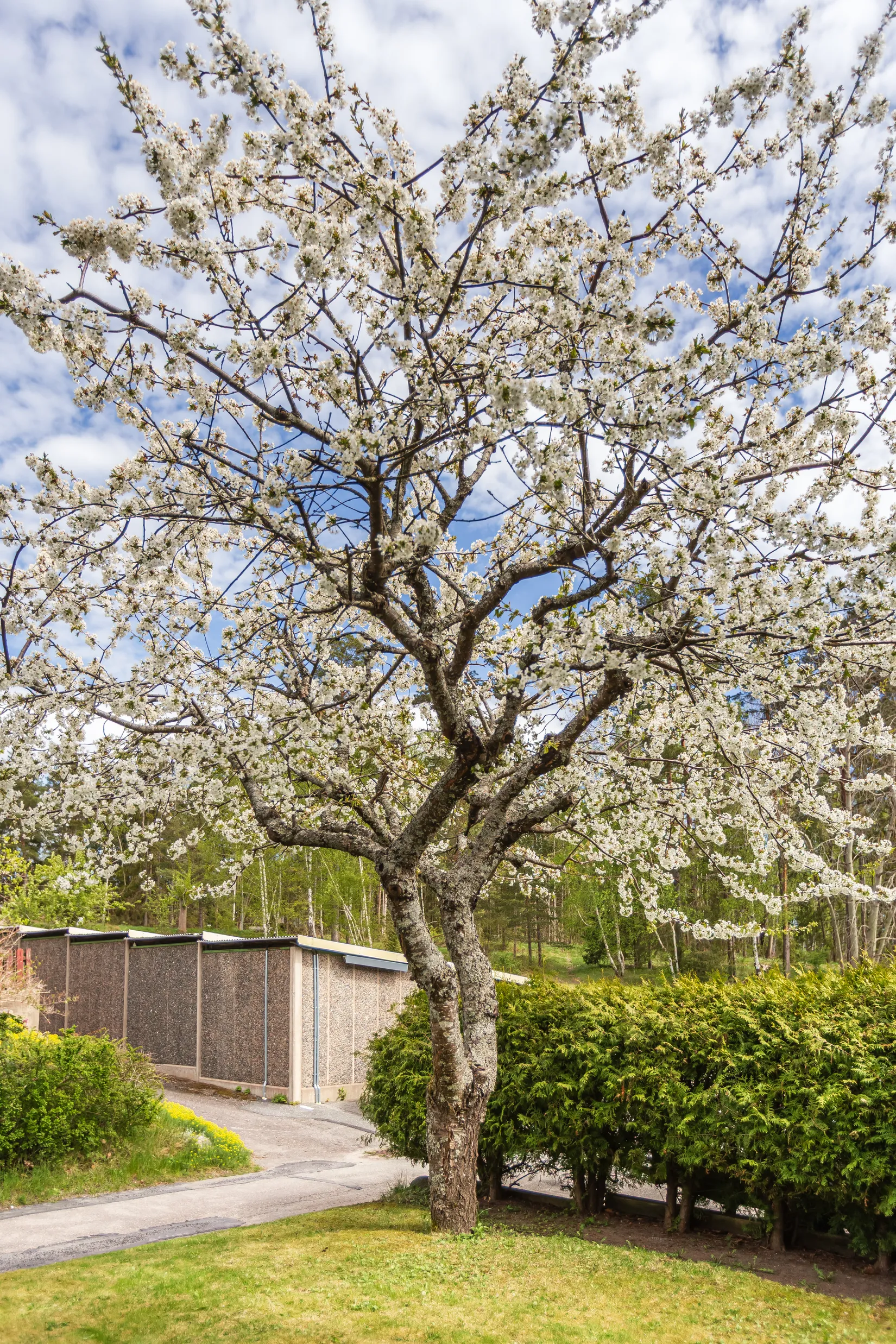 Villa, Radhus, Andebodavägen 249, Viksjö, Järfälla
