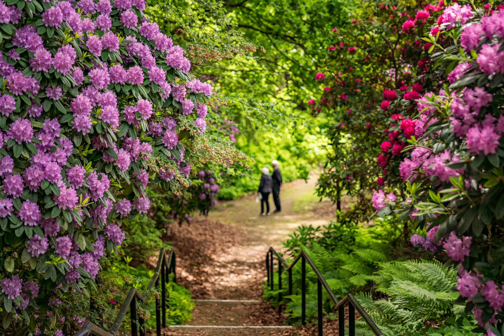 Bostadsrätt, Himmelriksgränden 6A, Helsingborg