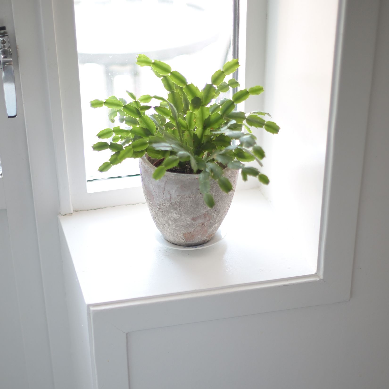 Bostadsrätt, Döbelnsgatan 12, Öst på stan, Umeå