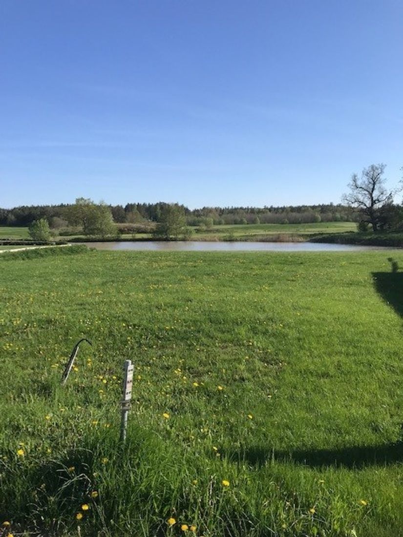 Tomt, Grips väg 38, Mauritzberg, Norrköping