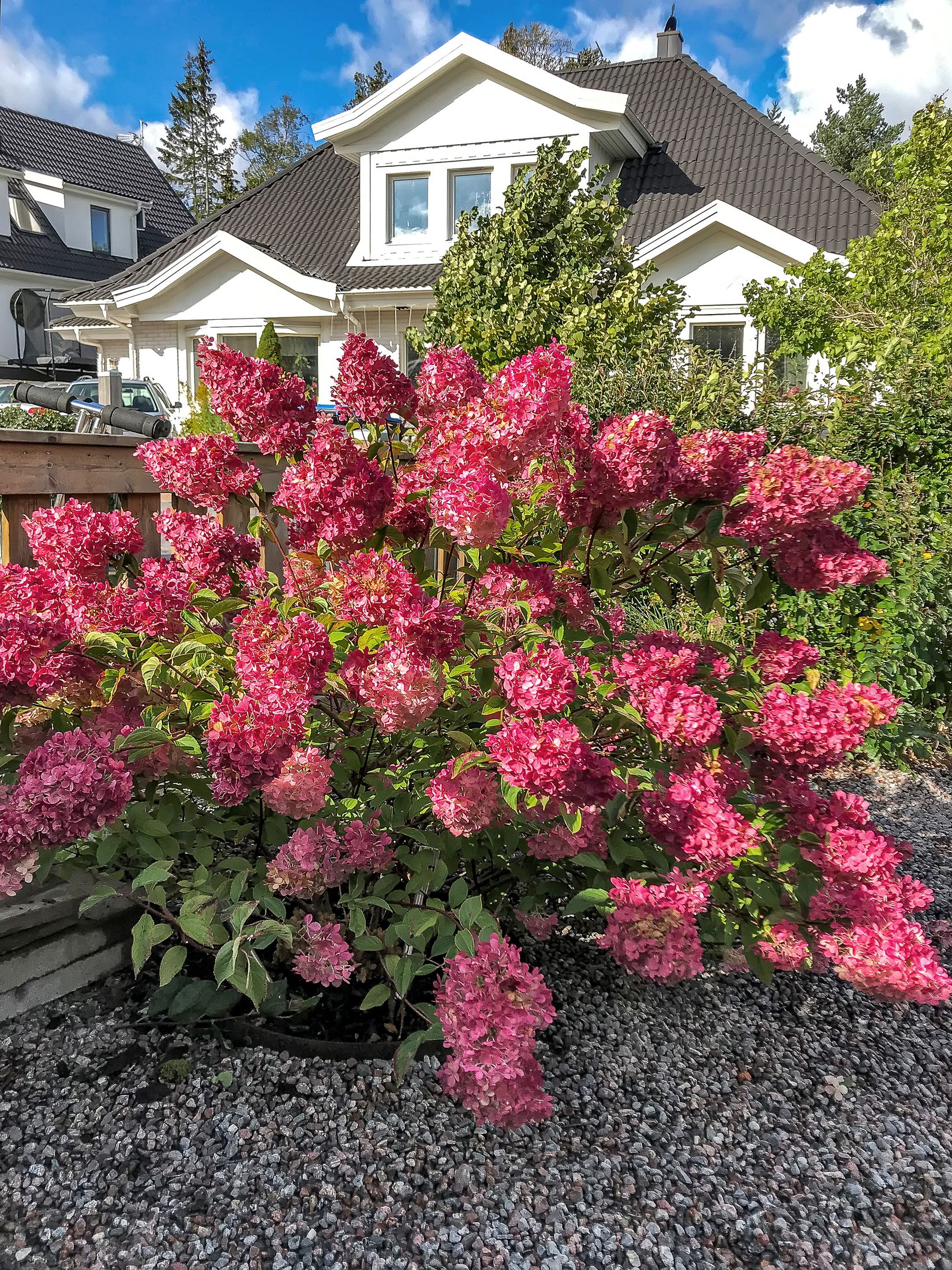 Villa, Radhus, Torpängsvägen 8, Gribbylund, Täby