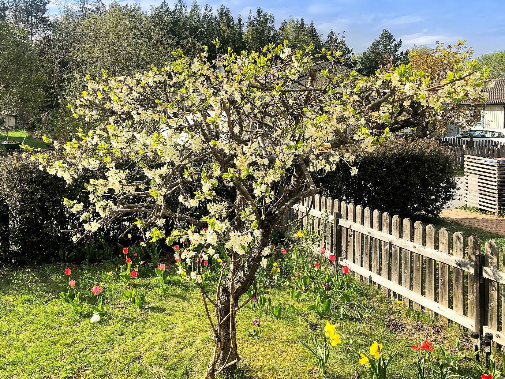 Villa, Radhus, Torpängsvägen 8, Gribbylund, Täby