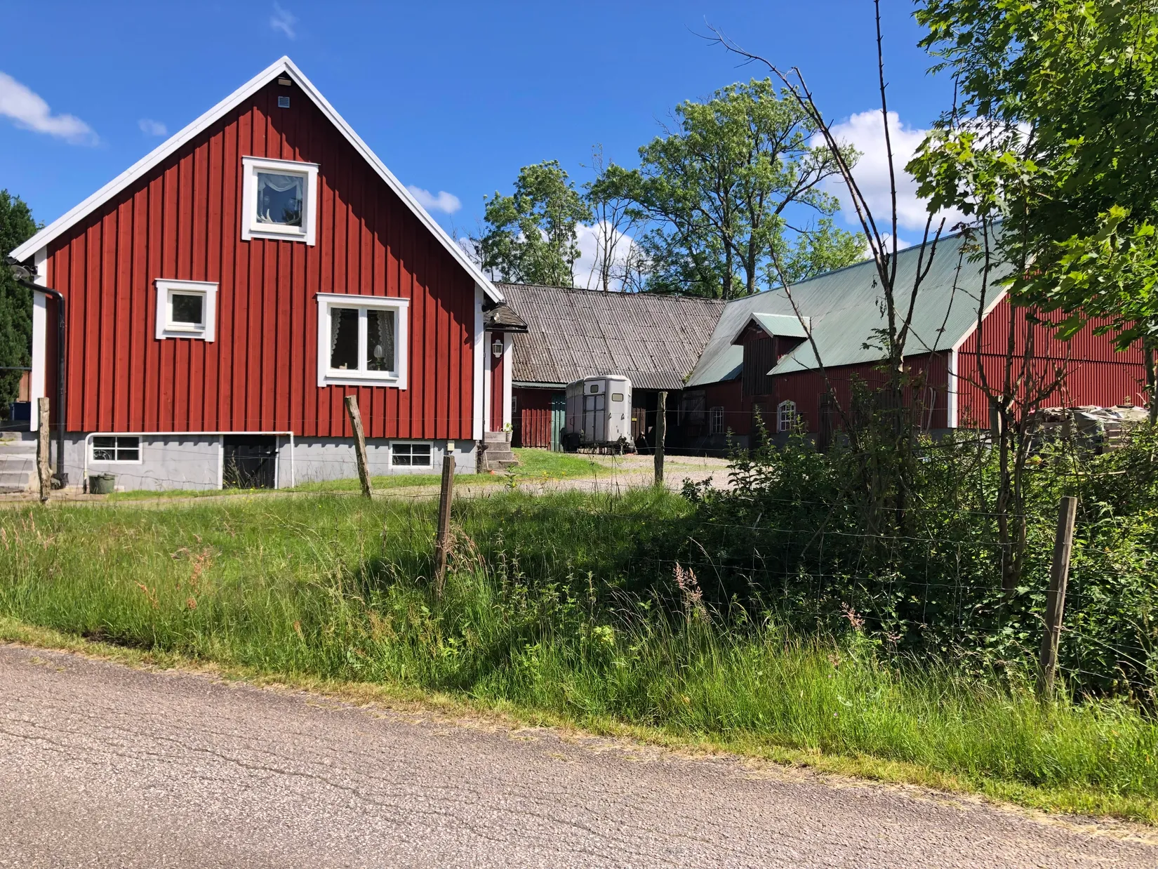 Gård/Skog, Skogsgård 41, Laholm