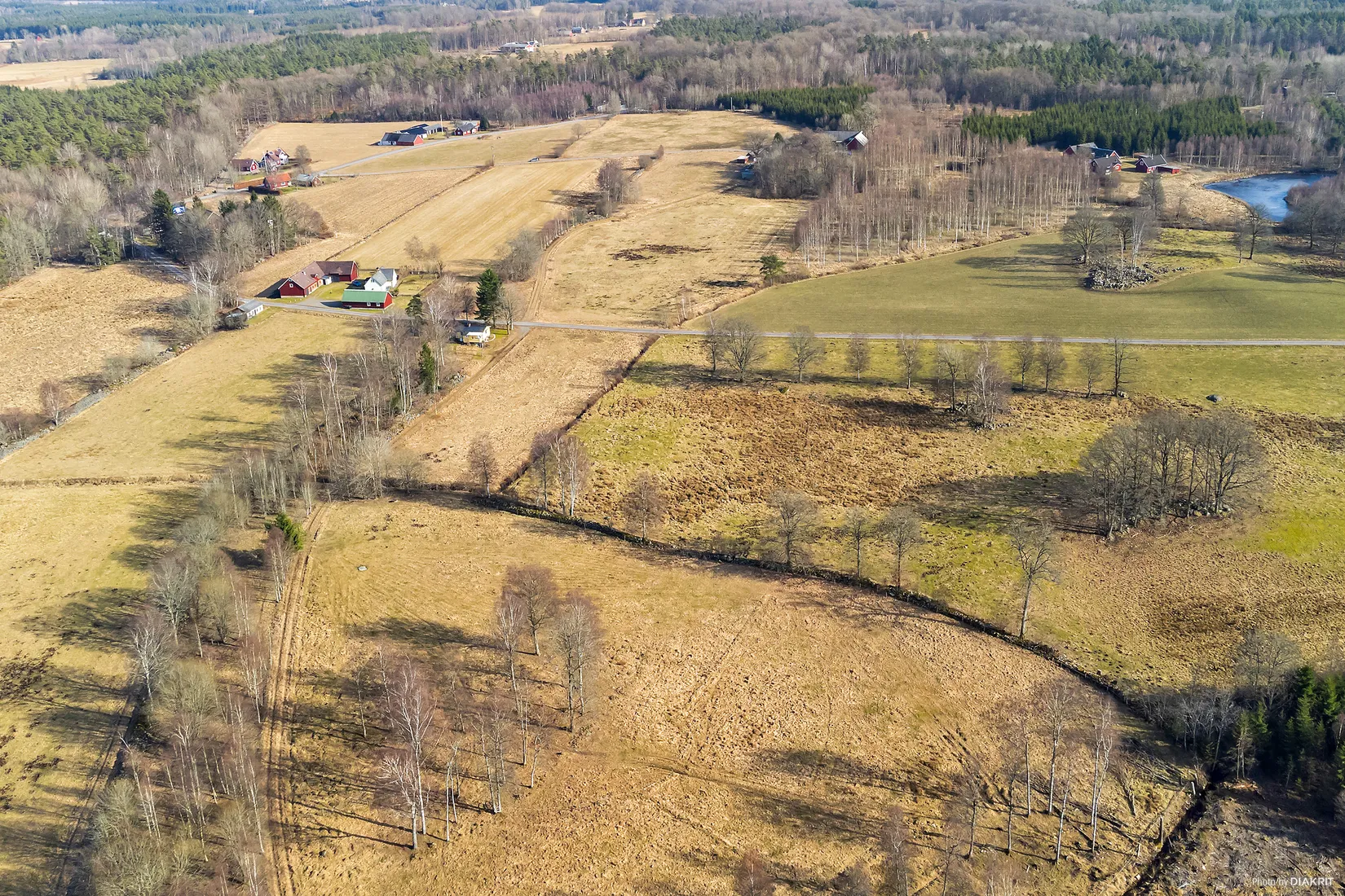 Gård/Skog, Skogsgård 41, Laholm