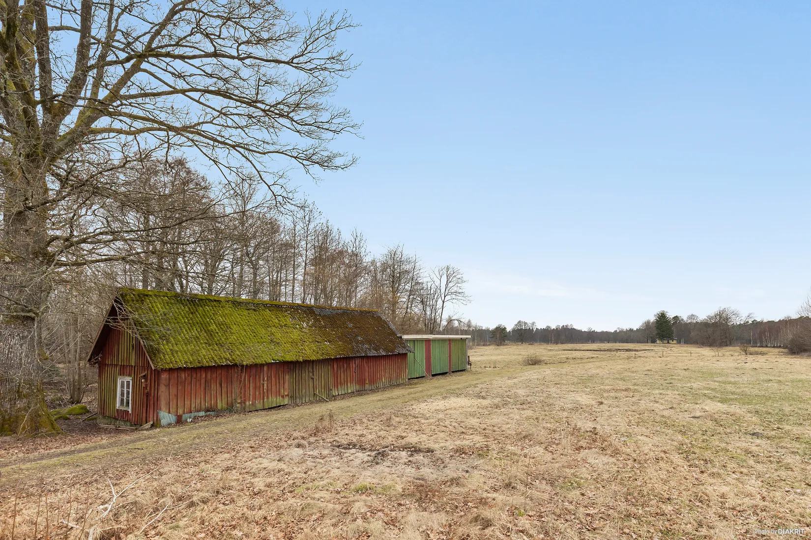 Gård/Skog, Skogsgård 41, Laholm