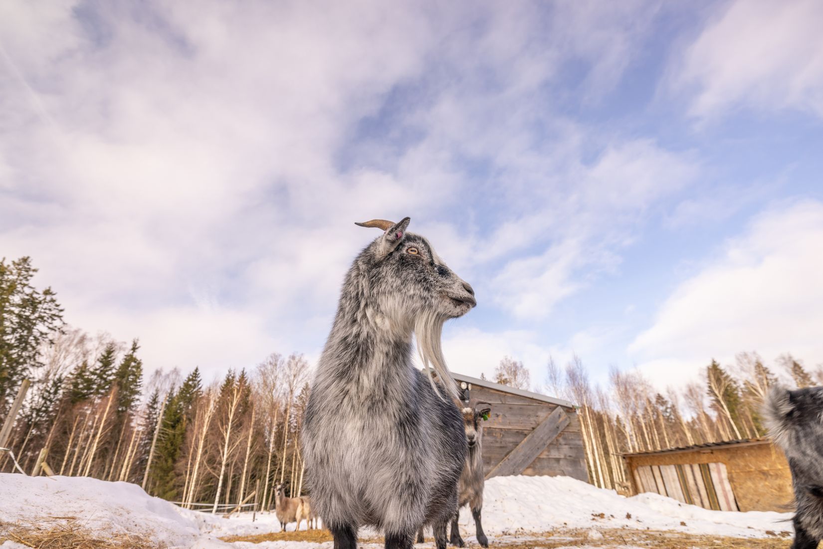 Villa, Glumserud 401, Glumserud, Karlstad