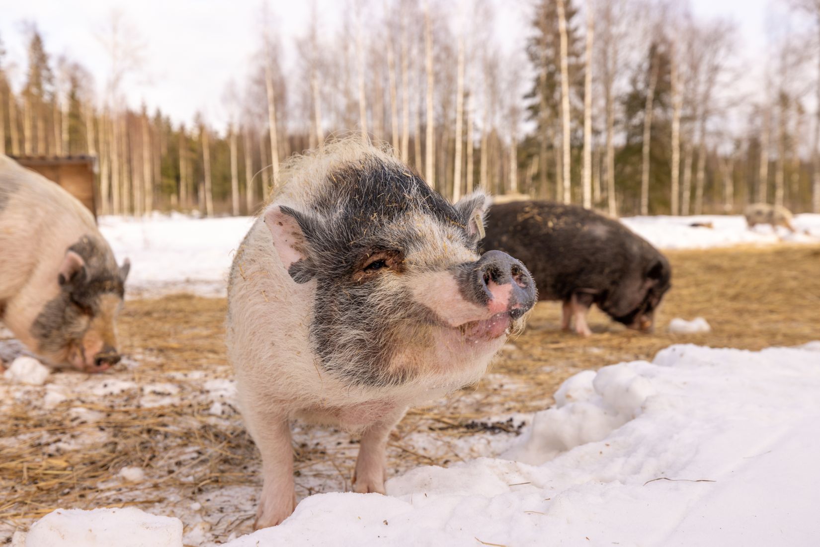 Villa, Glumserud 401, Glumserud, Karlstad