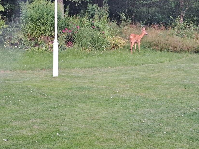 Villa, Södra Bäckhultsgatan 2, Sörgården, Gislaved