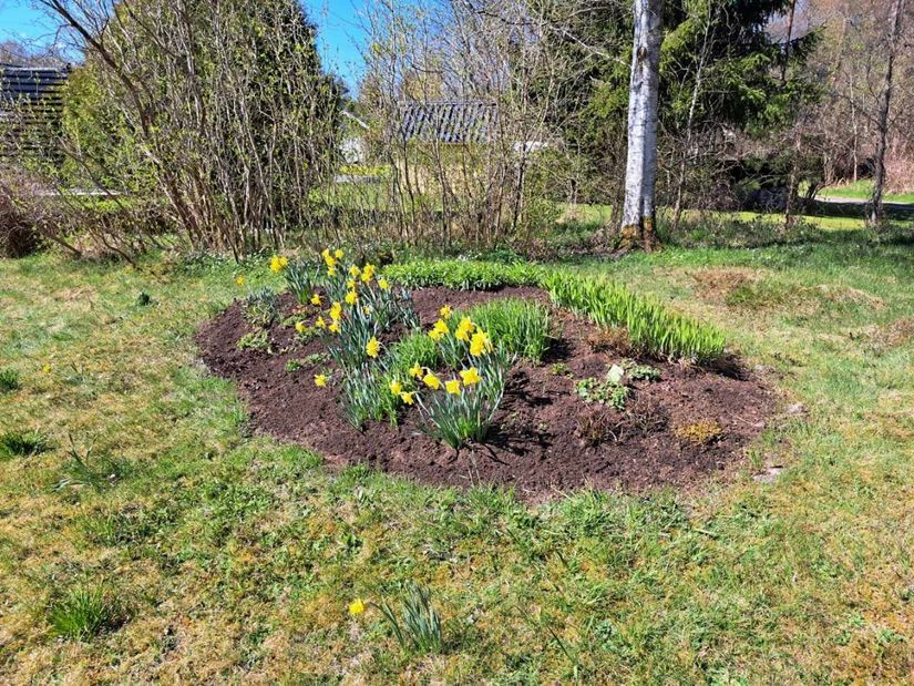 Villa, Södra Bäckhultsgatan 2, Sörgården, Gislaved