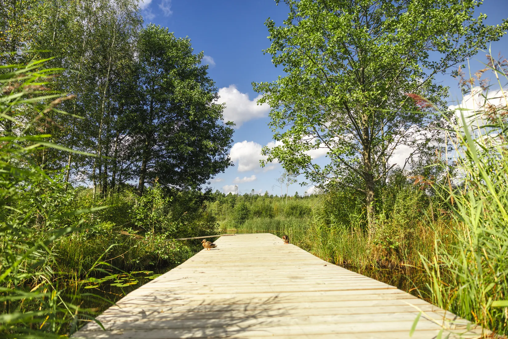 Bostadsrätt, Prilyckegatan 91, Hisings Kärra, Göteborg