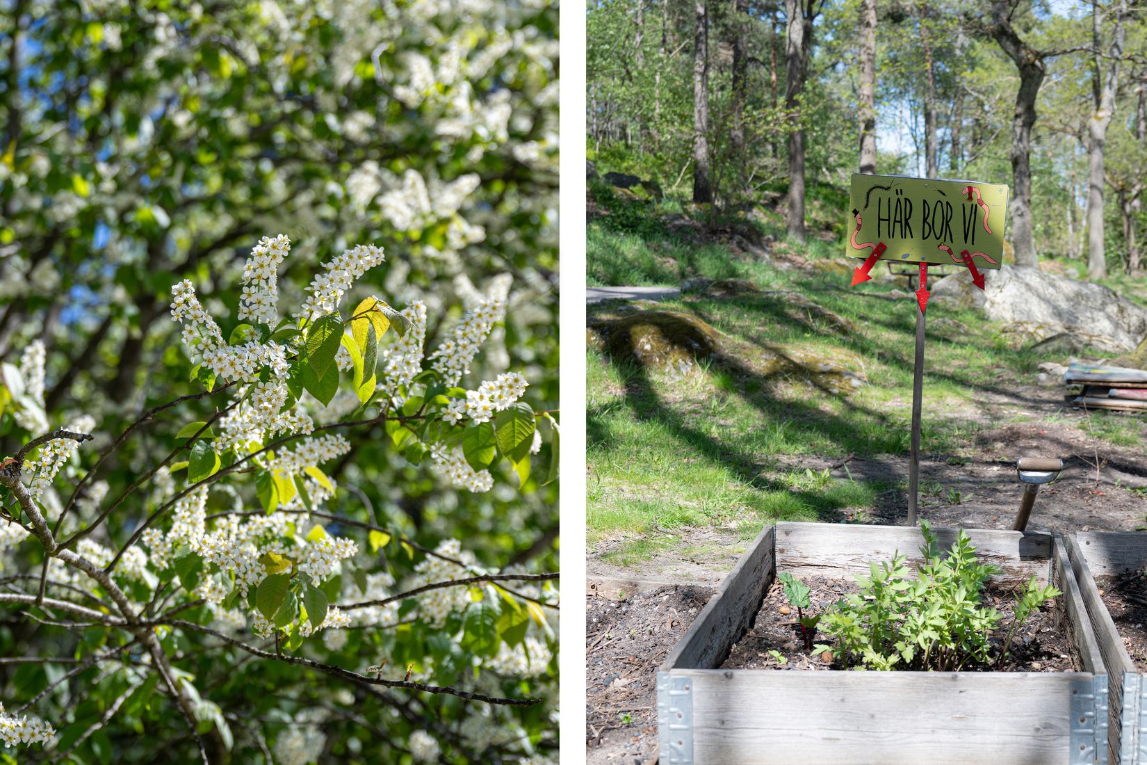 Bostadsrätt, Snöskostigen 3, Västertorp, Stockholm