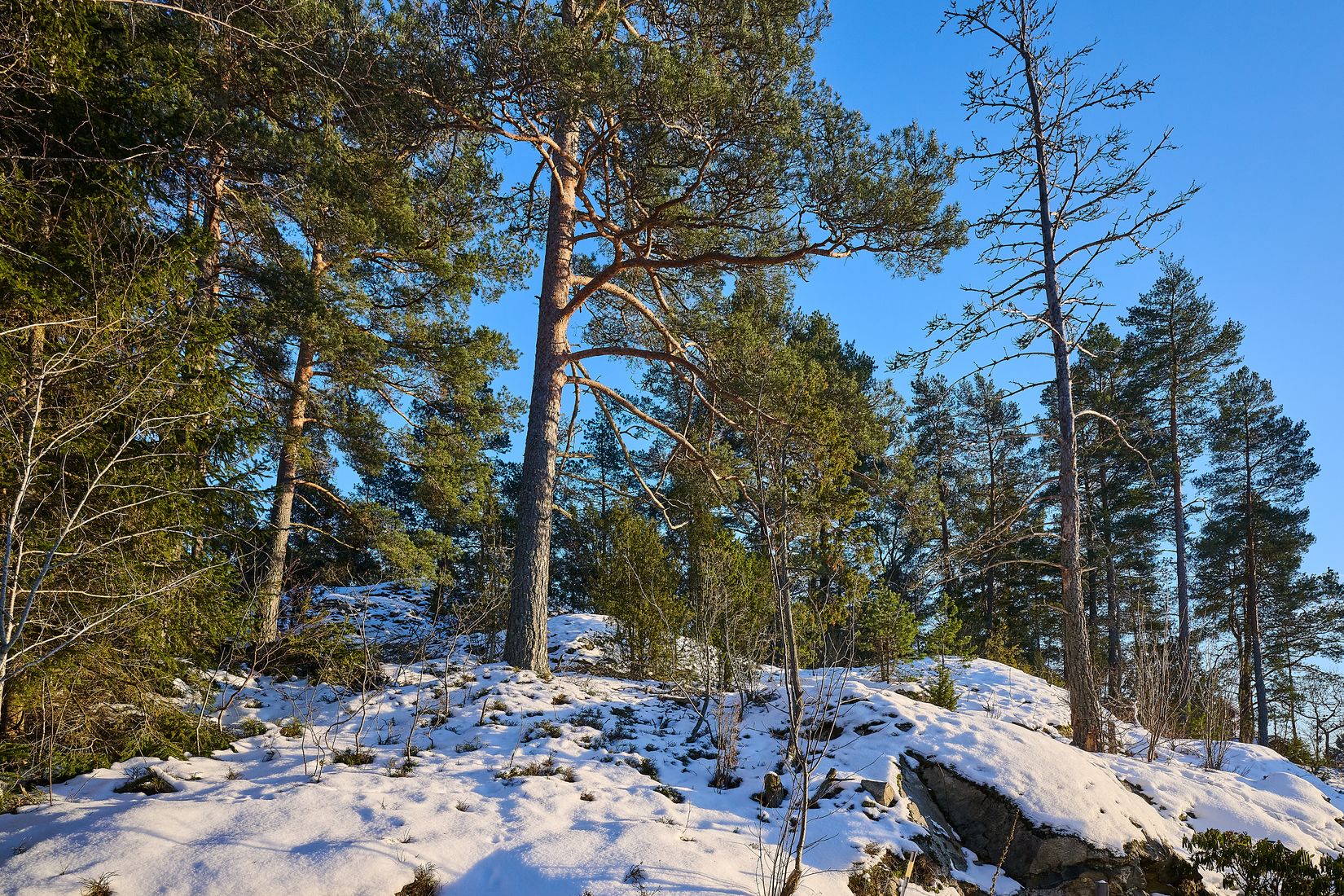 Villa, Norrängsvägen 6B, Tosterön, Strängnäs