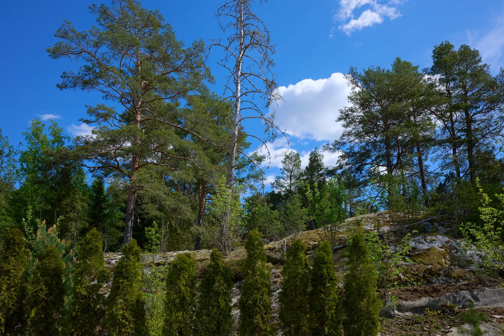 Villa, Norrängsvägen 6B, Tosterön, Strängnäs