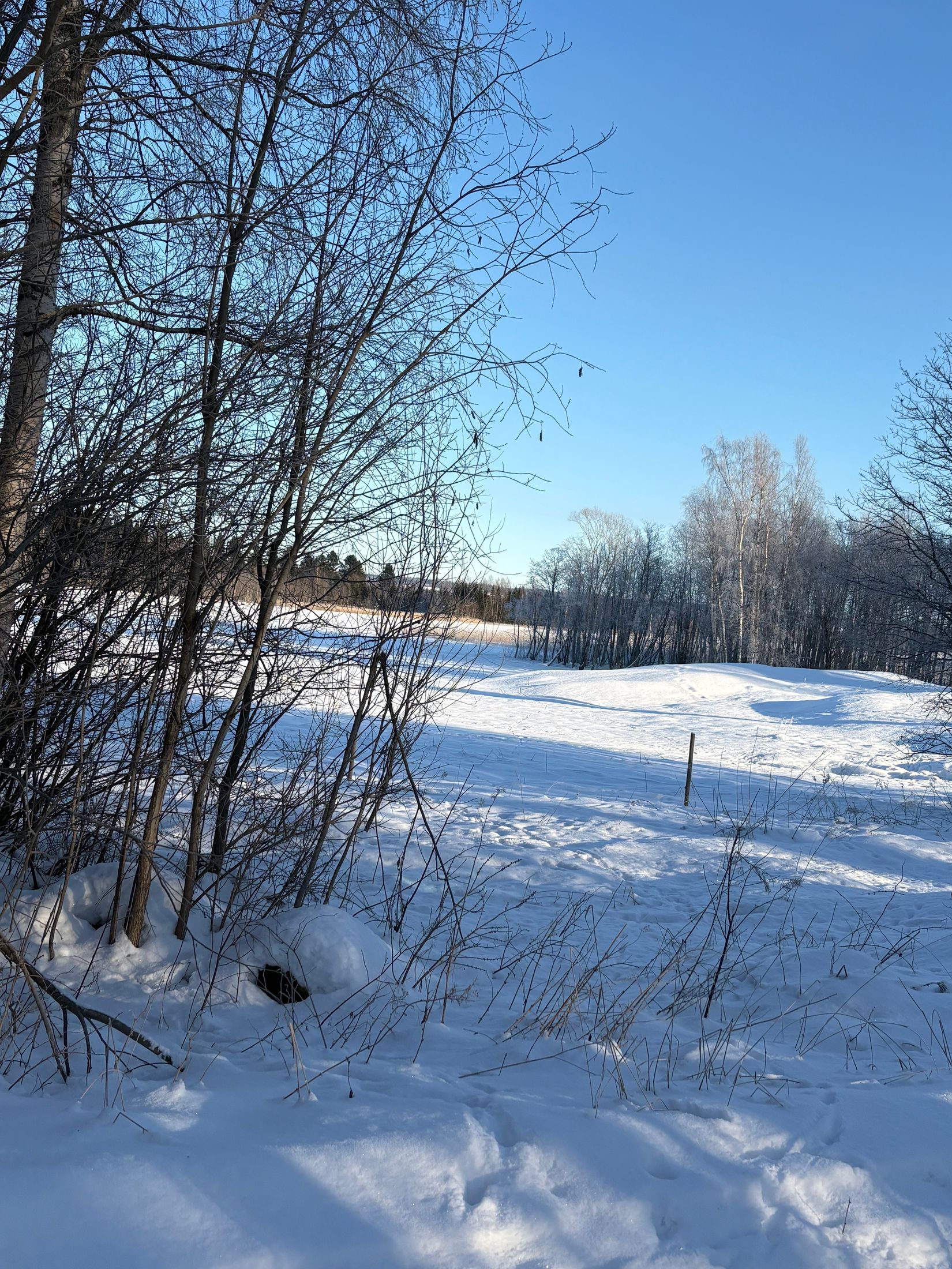 Tomt, Hörningsholm 149, Hörningsholm, Sundsvall