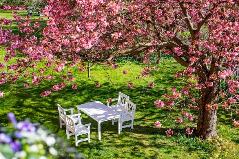 Bostadsrätt, Filippavägen 4D, Sofiaparken, Lund