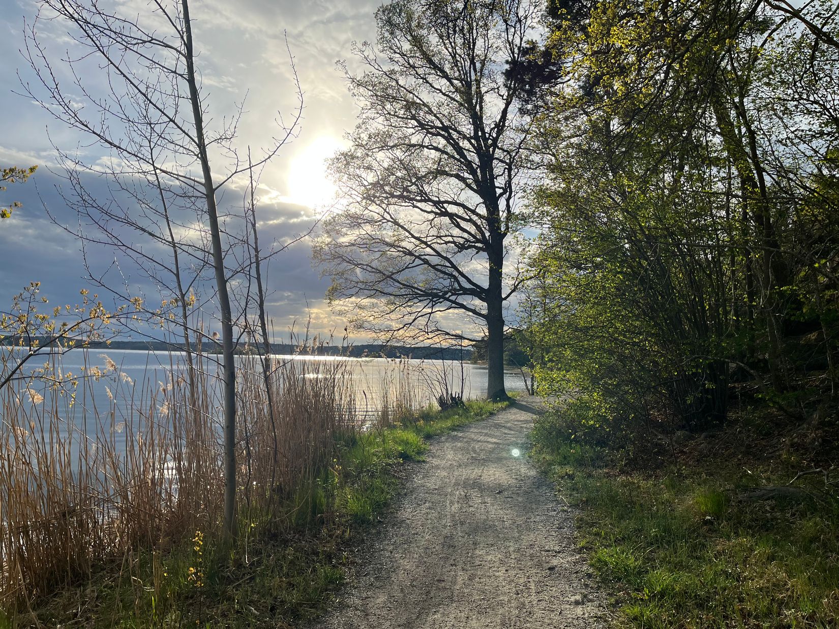 Bostadsrätt, Radhus, Wilhelm Kåges gata 30B, Porslinskvarteret, Värmdö