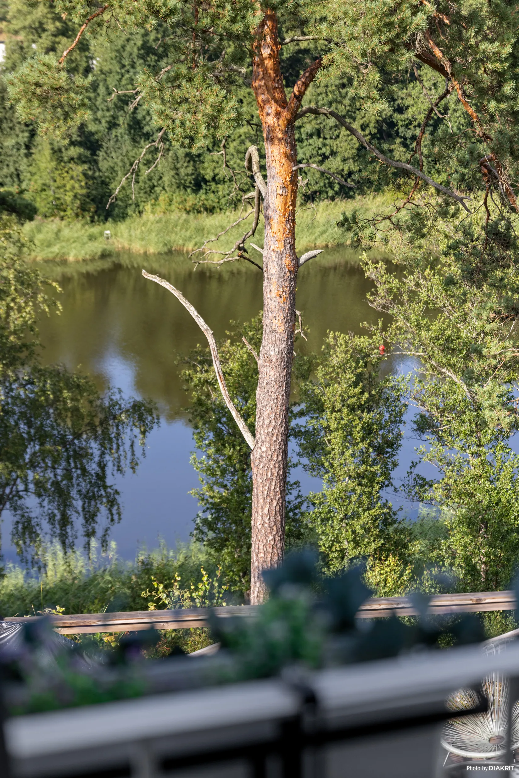 Bostadsrätt, Radhus, Örnklovägen 16A, Kolvik, Värmdö