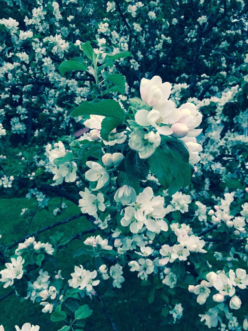 Villa, Gamla Ådalsvägen 144, Bondsjöhöjden, Härnösand