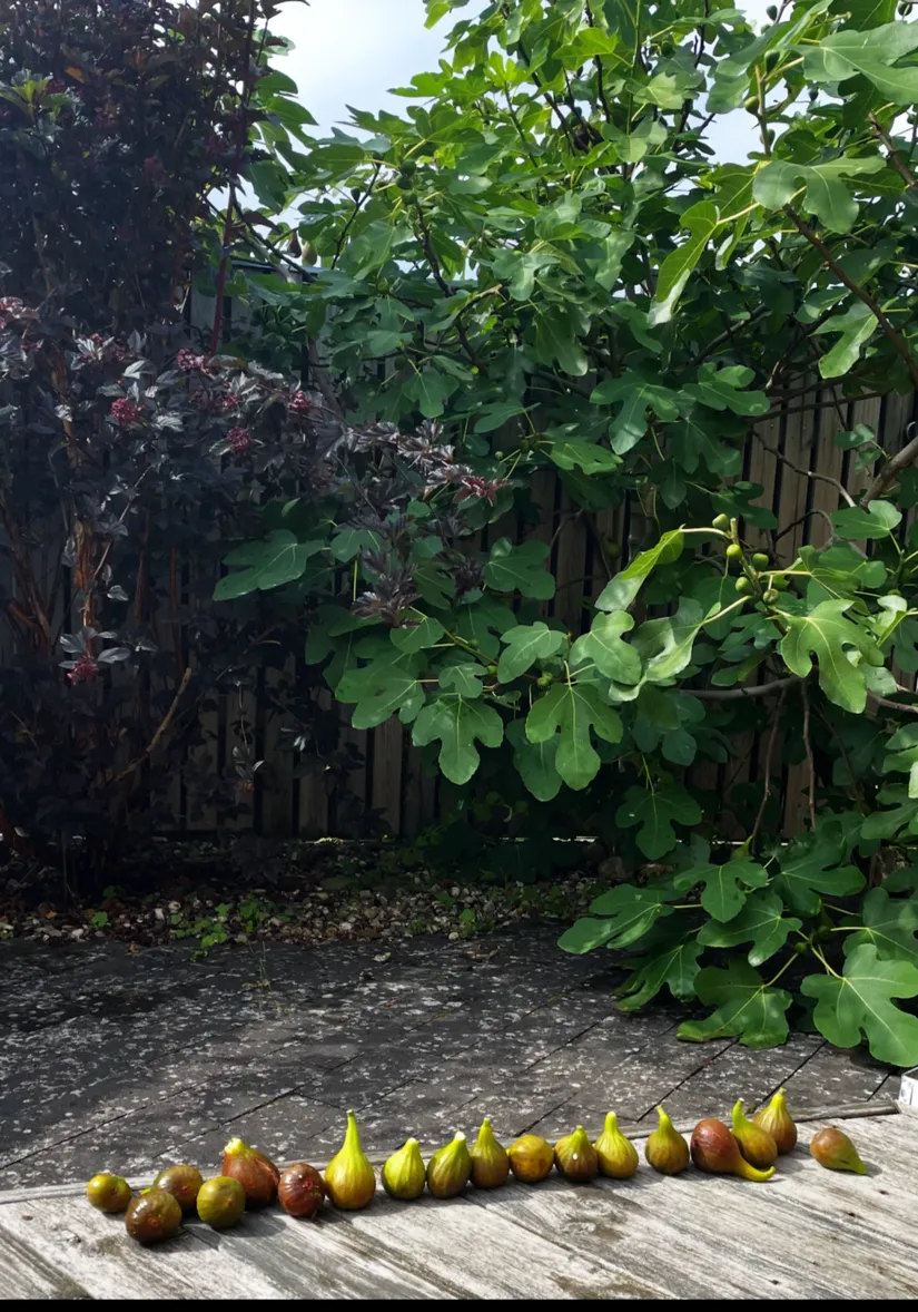 Villa, Gullkragegatan 24, Tygelsjö, Malmö