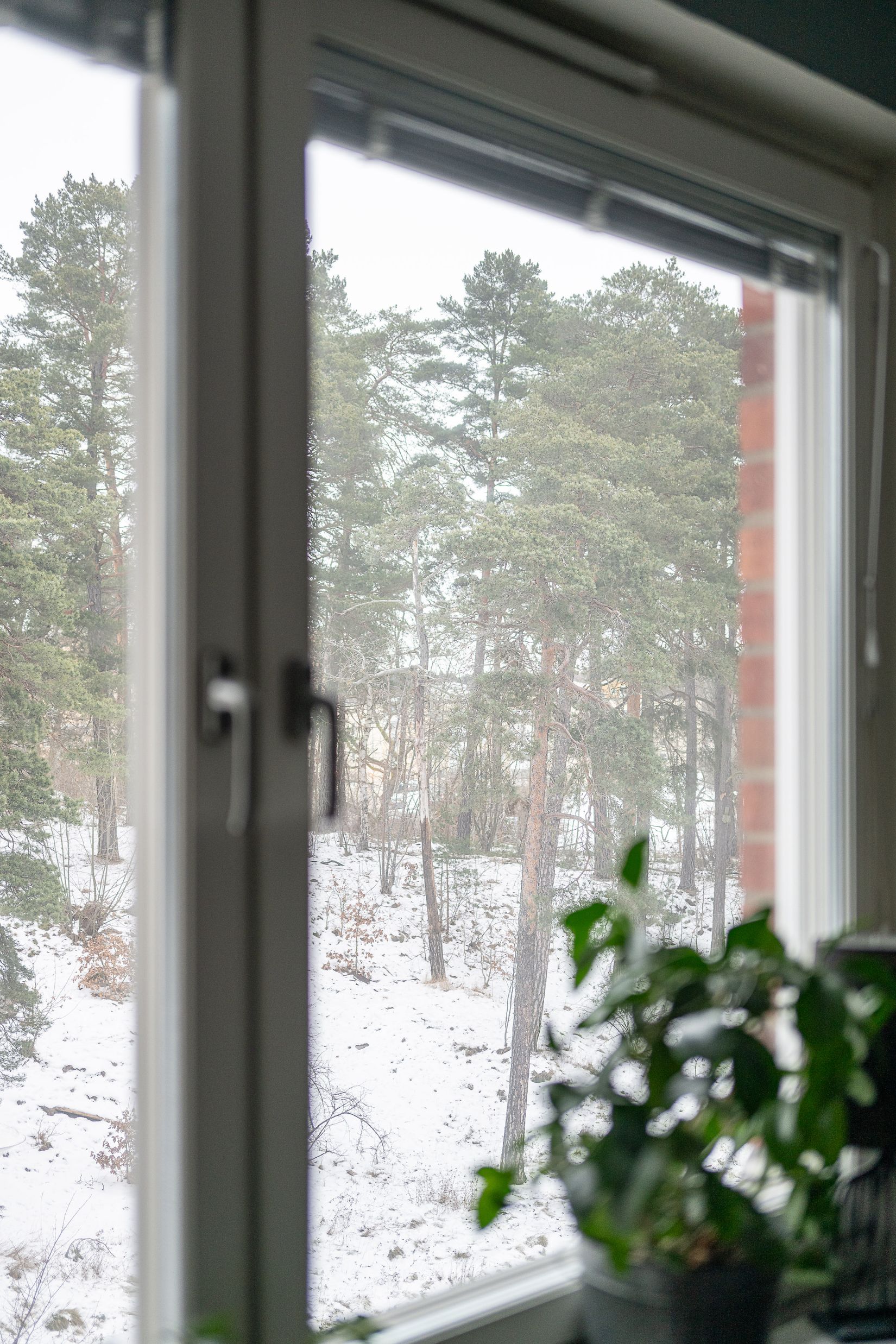 Bostadsrätt, Örnskölds väg 16B, Fågelbo, Nyköping