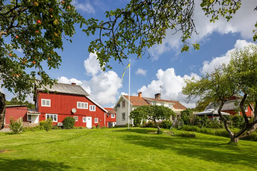 Gård/Skog, Torredsvägen 168, Torred, Kungsbacka