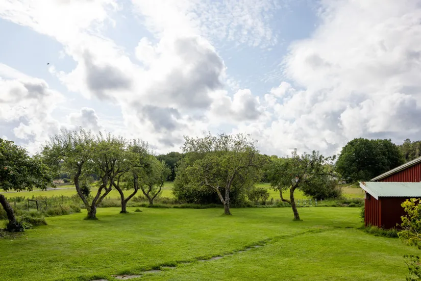 Gård/Skog, Torredsvägen 168, Torred, Kungsbacka