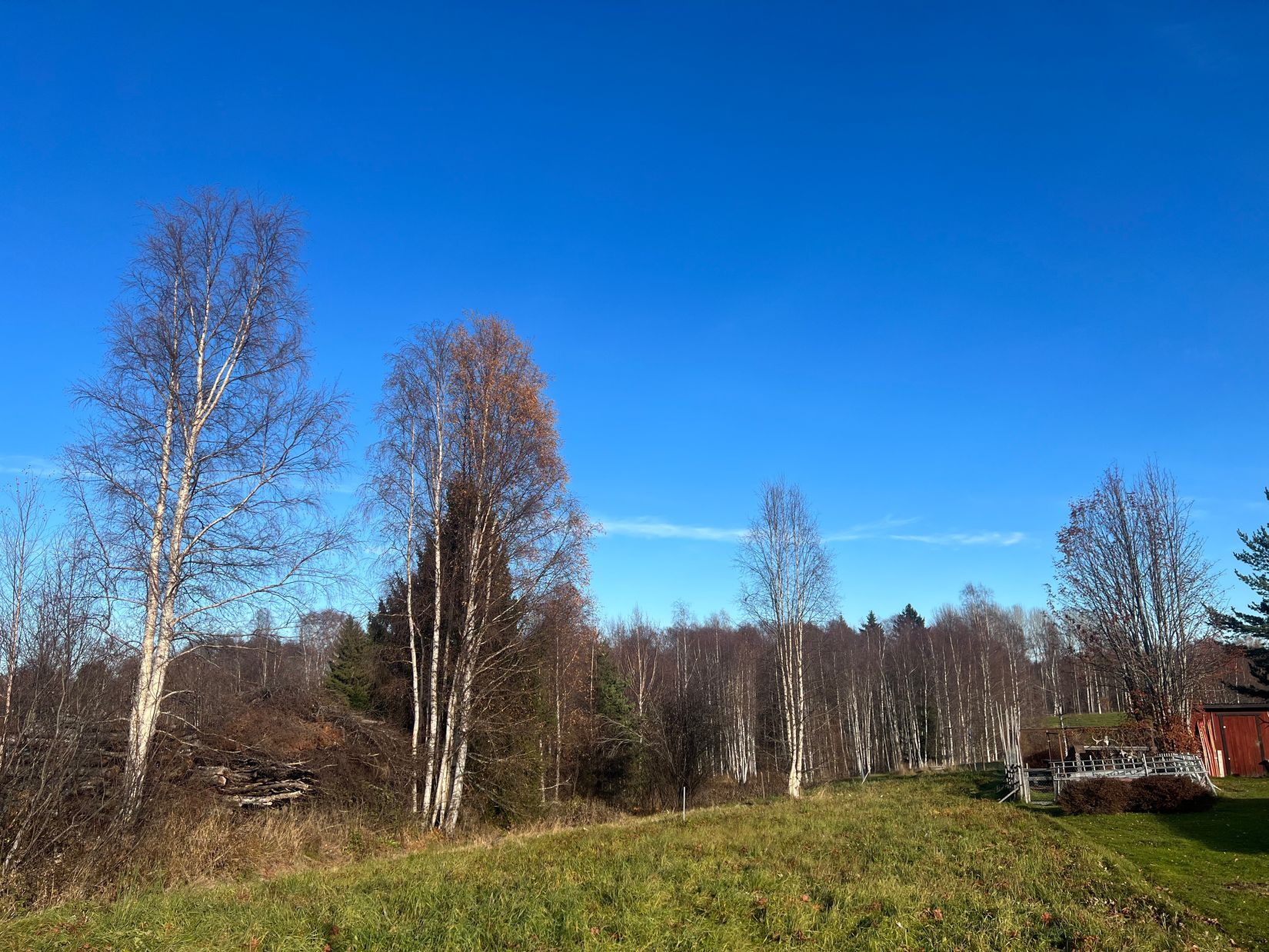 Tomt, Yrjasbacksvägen 9, Vika, Mora