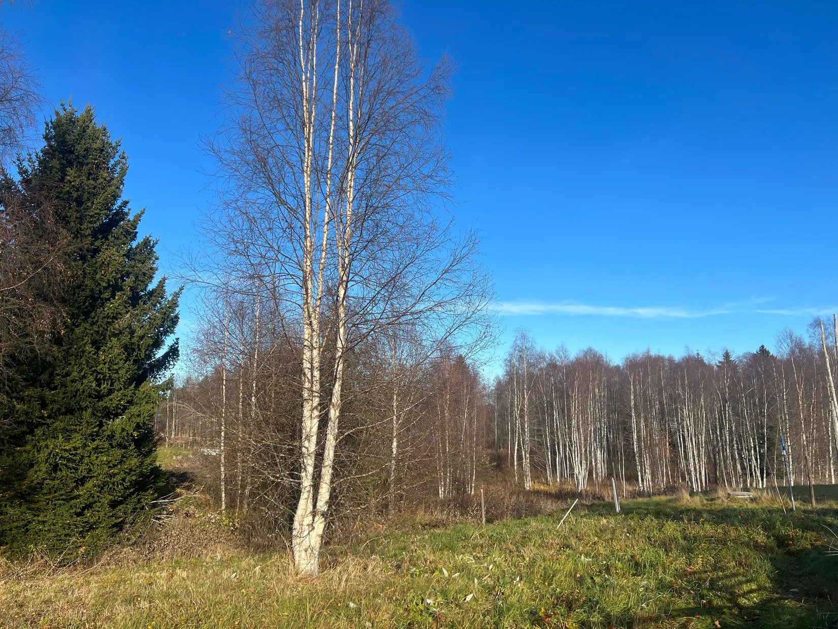 Tomt, Yrjasbacksvägen 9, Vika, Mora