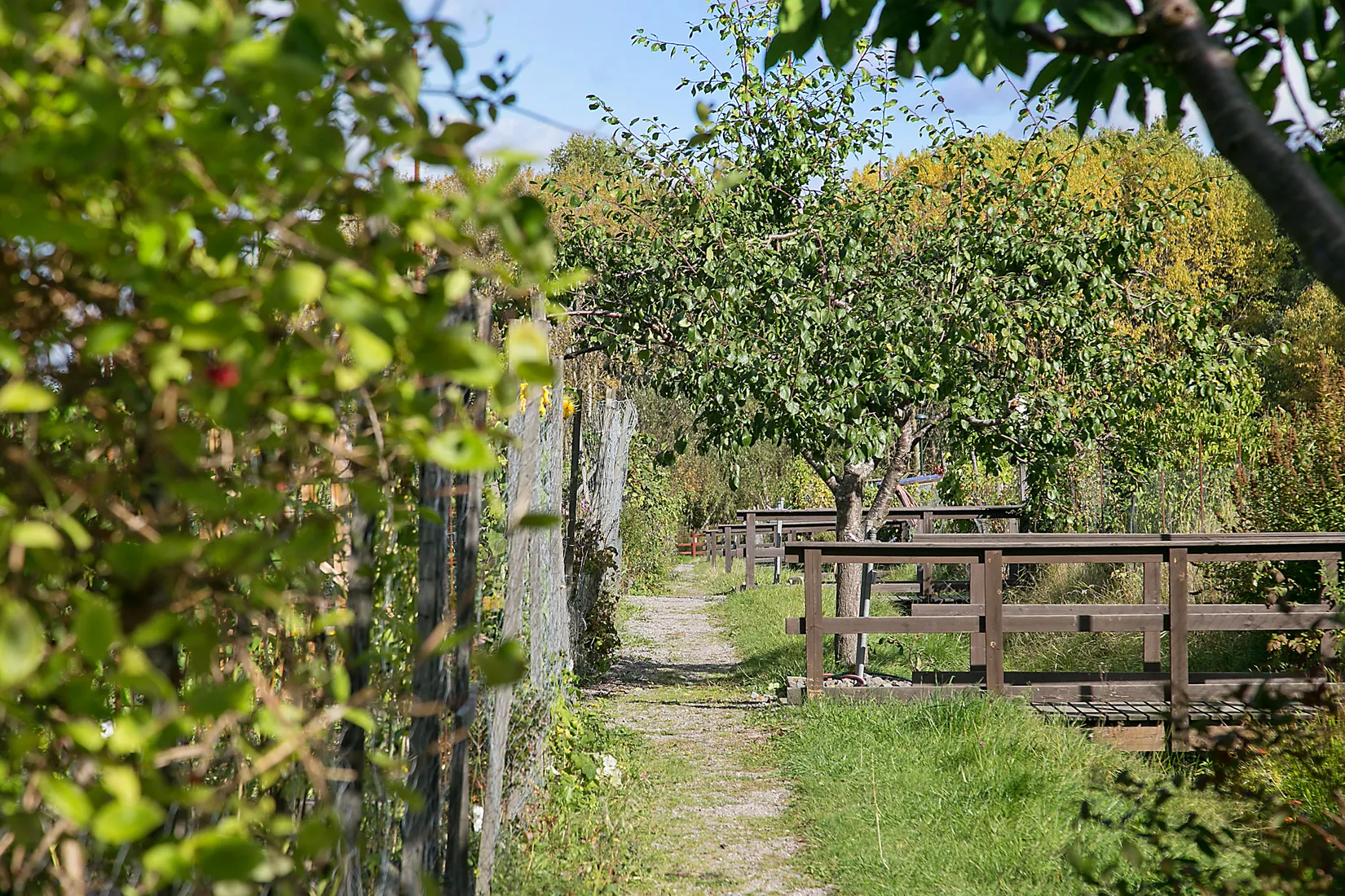 Bostadsrätt, Skanörvägen 3, Björkhagen, Johanneshov, Stockholm