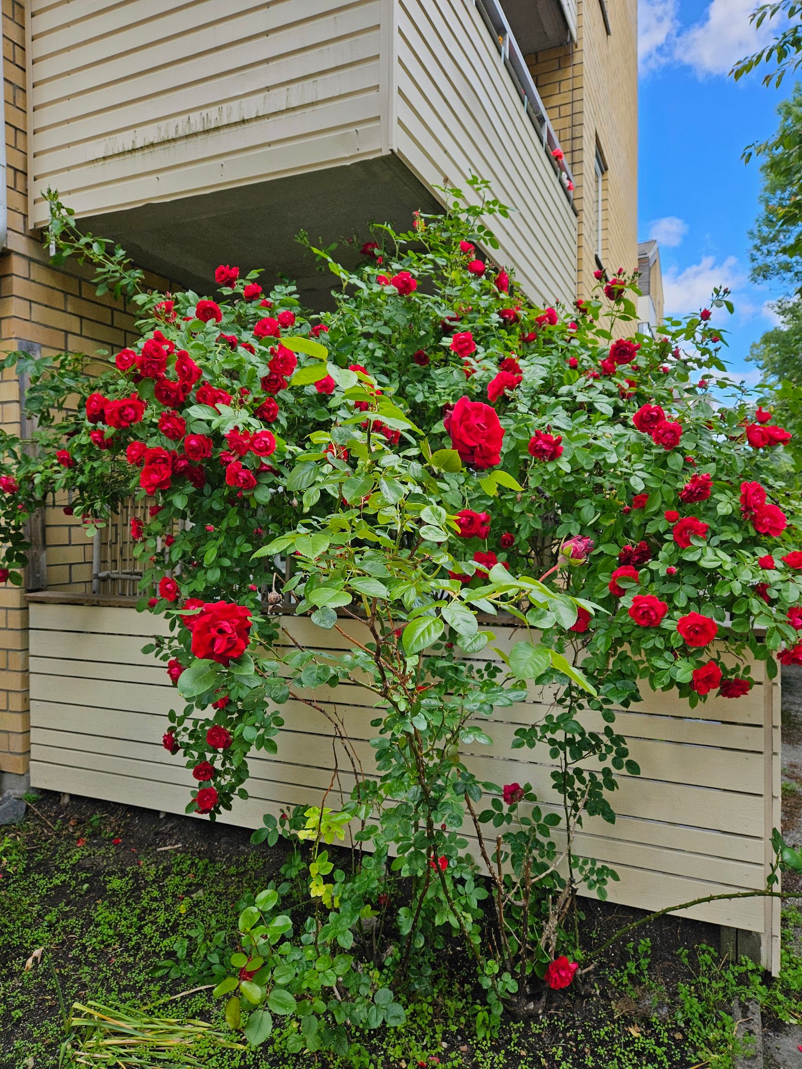 Bostadsrätt, Gribbylunds Torg 1A, Gribbylund, Täby