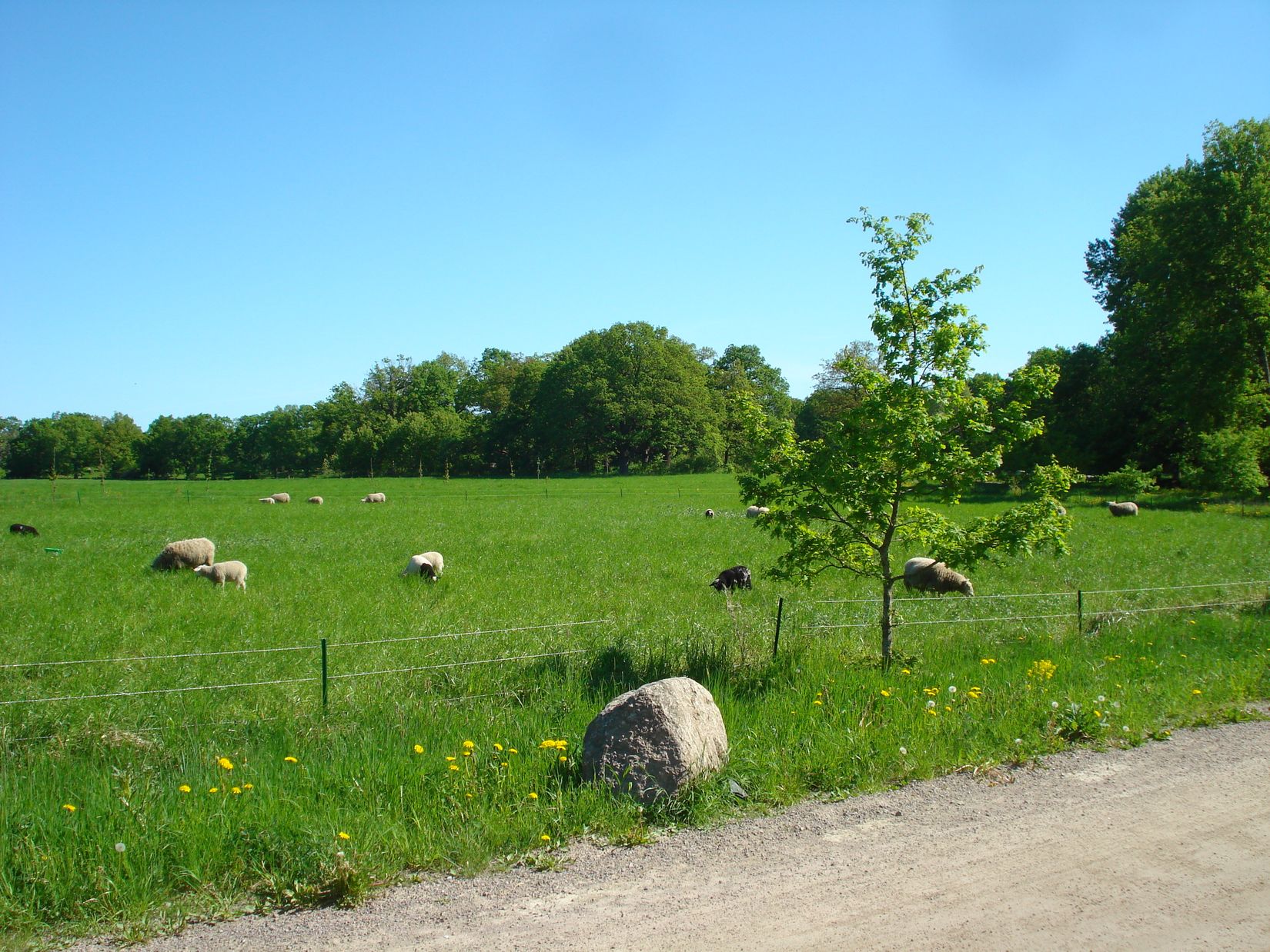 Bostadsrätt, Kompanigatan 6, Hagaberg, Linköping