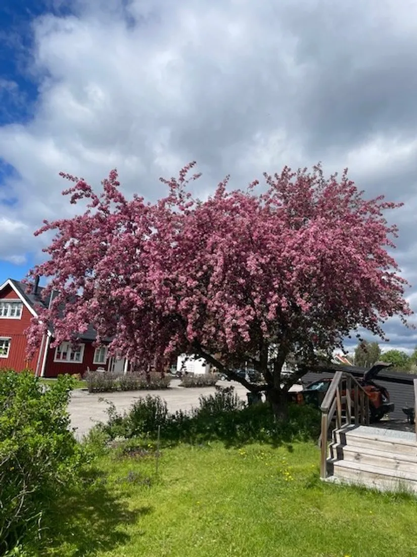Villa, Furugatan 77, Ljusdal