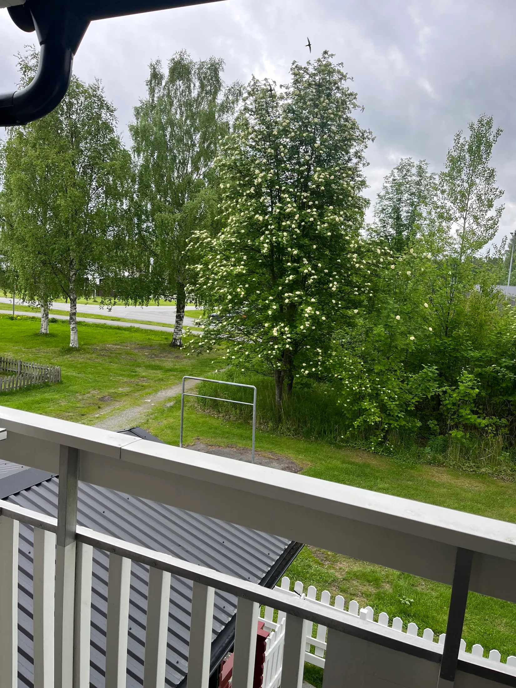 Bostadsrätt, Bladgatan 22, Skellefteå