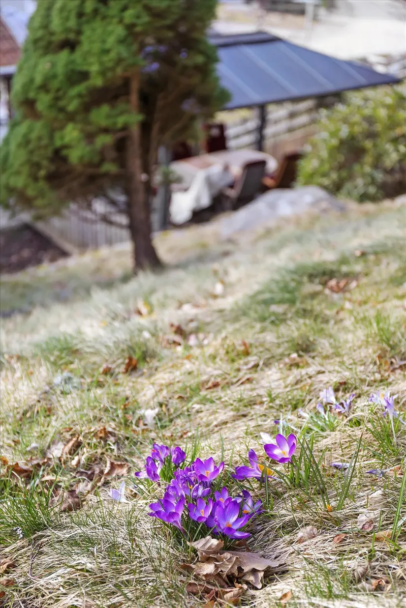 Villa, Egersbergsvägen 28, Bleket, Uddevalla