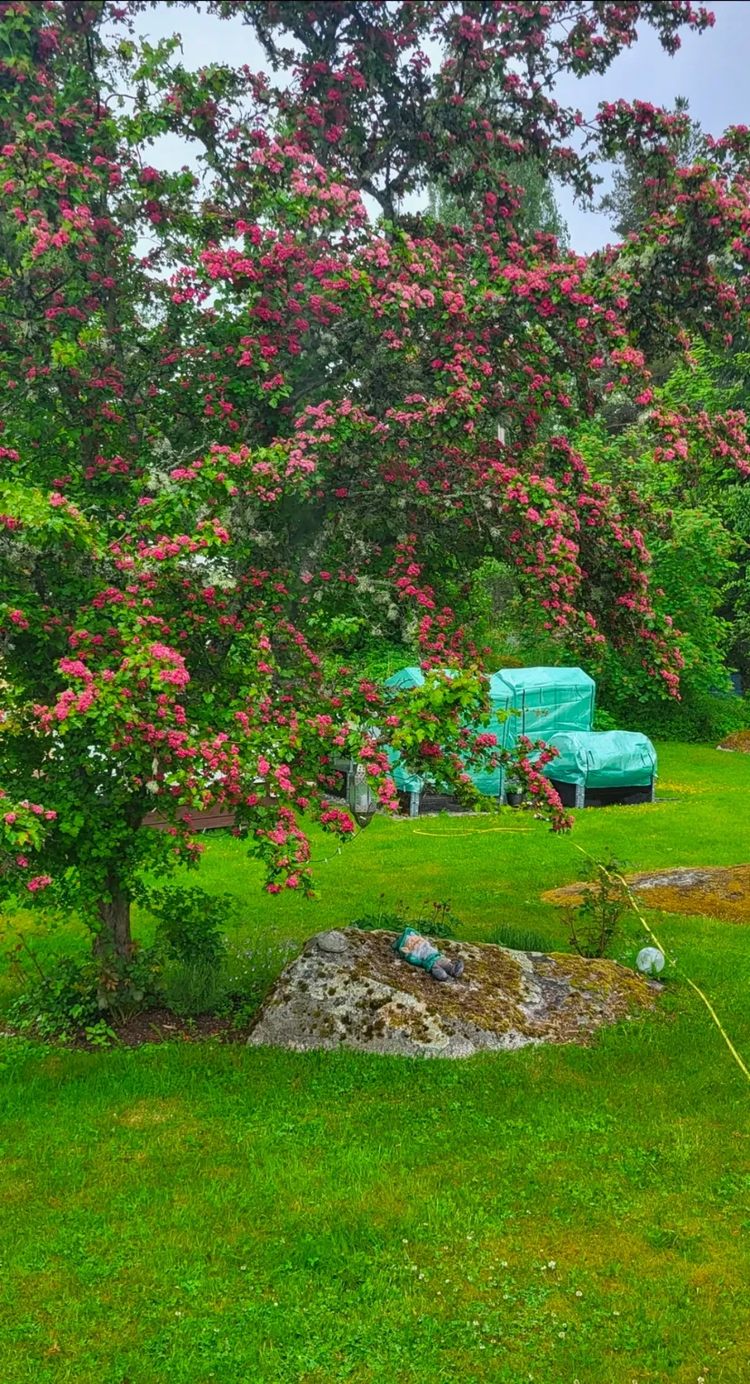 Villa, Munkaboda 224, Frövi, Lindesberg