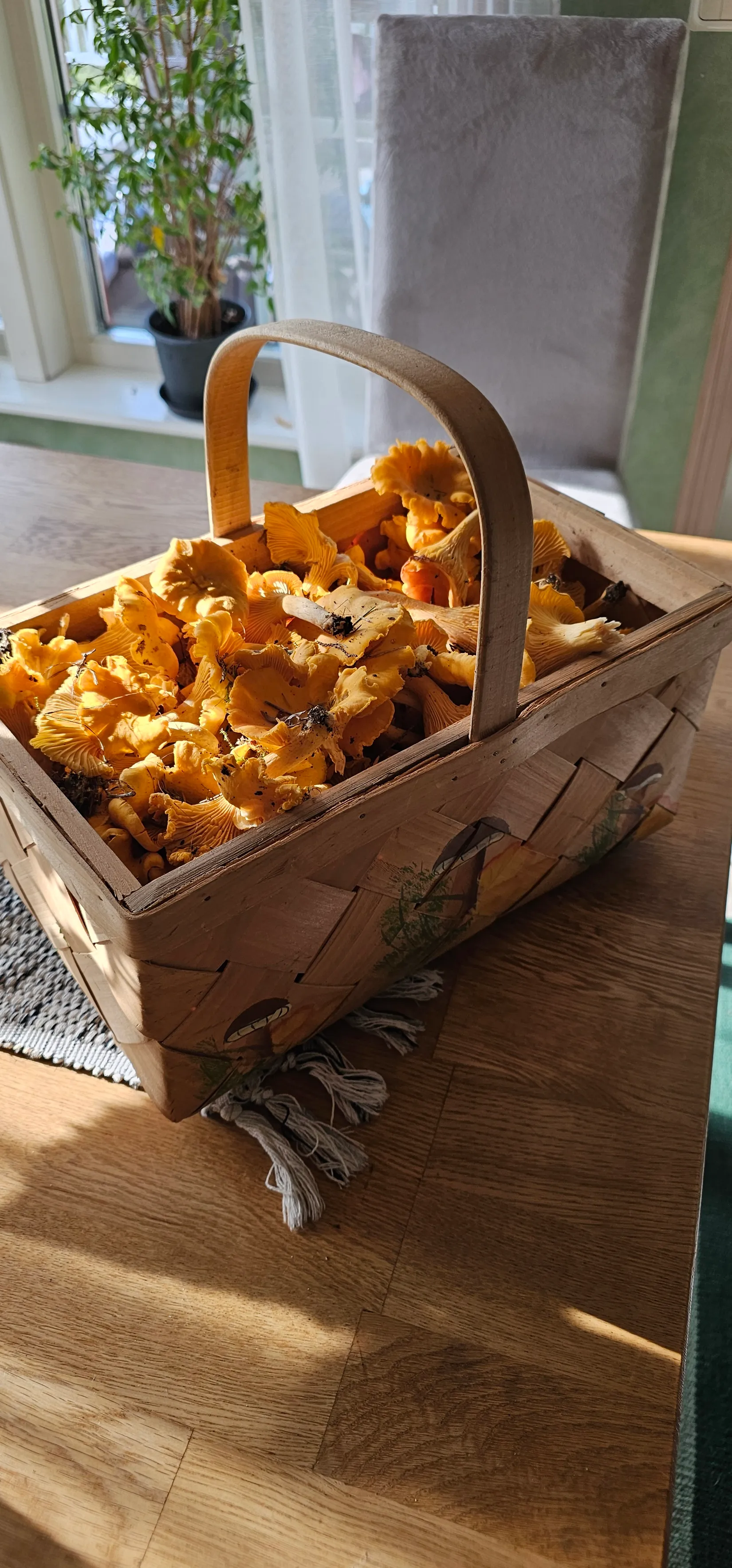 Villa, Munkaboda 224, Frövi, Lindesberg