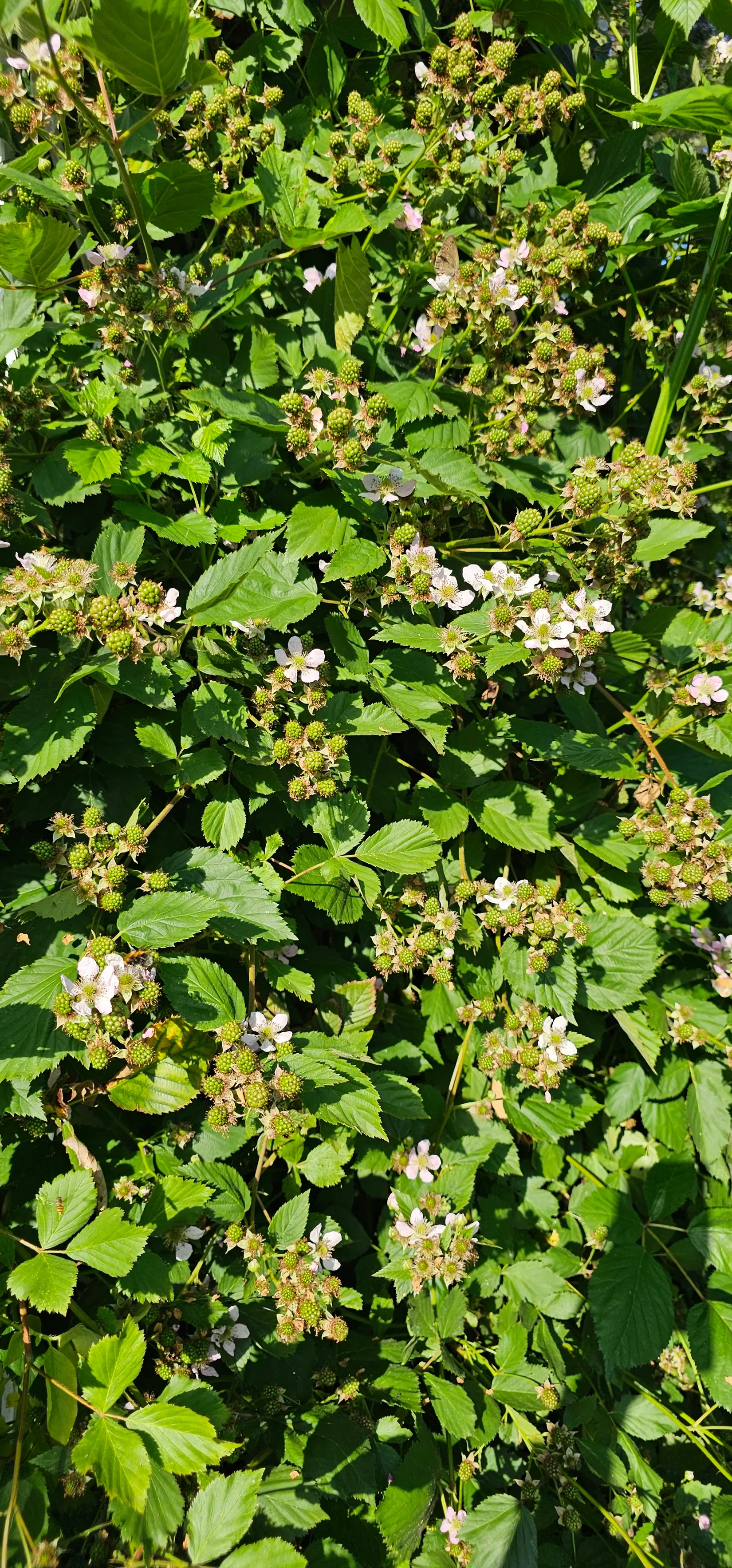 Villa, Munkaboda 224, Frövi, Lindesberg