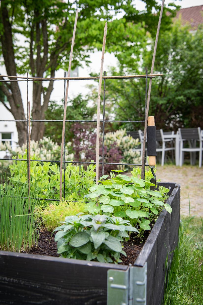 Bostadsrätt, Fjällgatan 9S, Masthugget, Göteborg