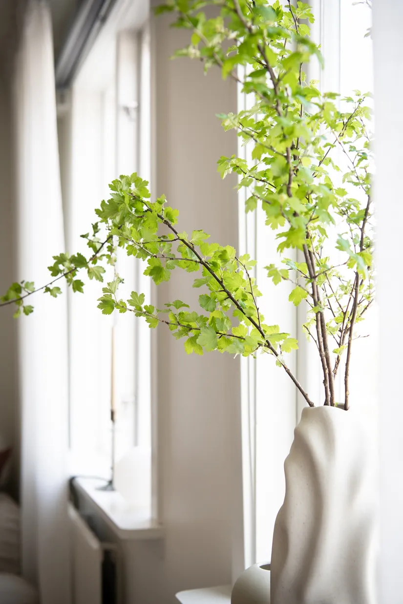 Bostadsrätt, Kopparslagaregatan 15B, Johanneberg, Göteborg