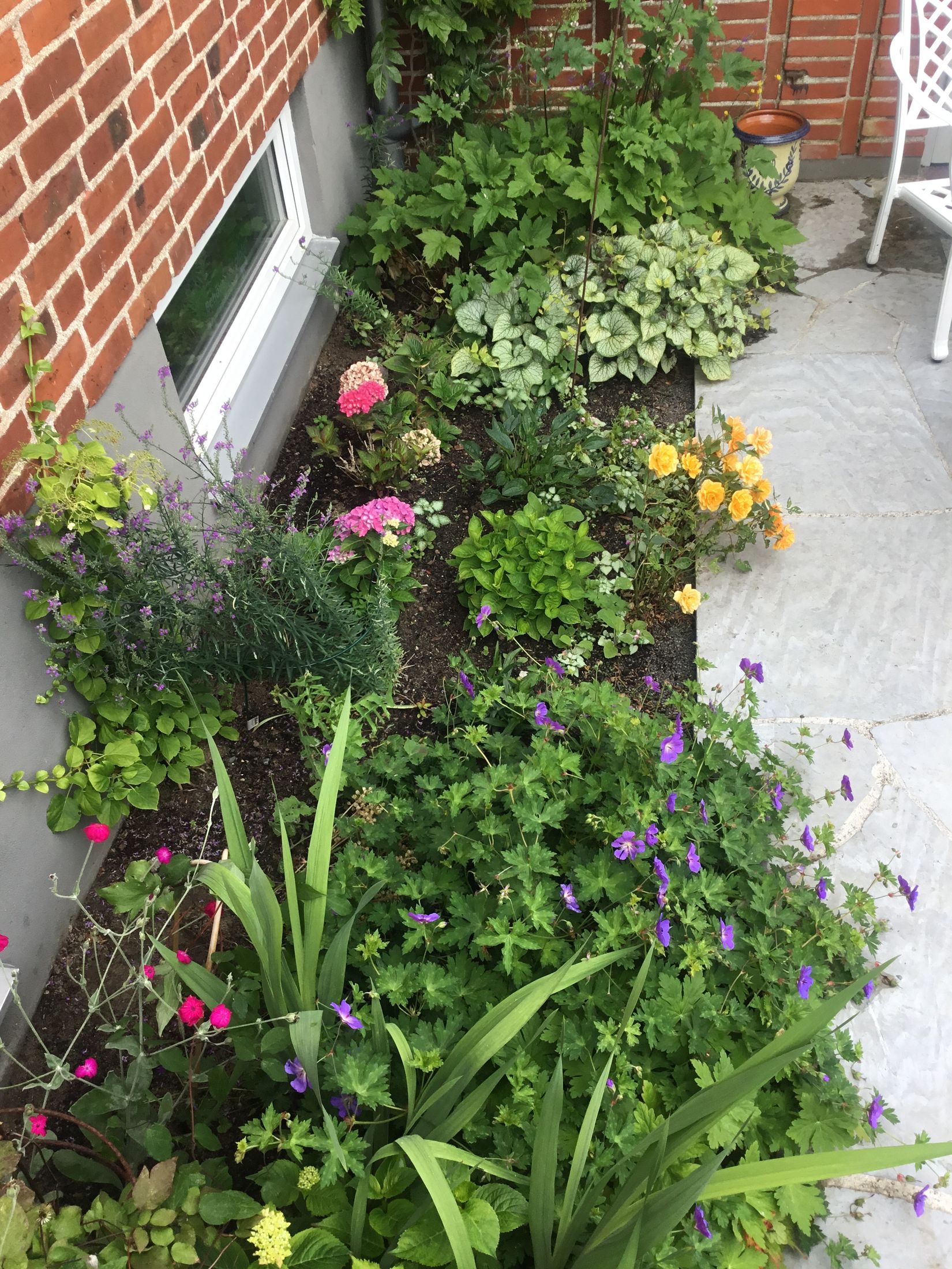 Villa, Allgatan 33, Simrishamn - Centralt, Simrishamn