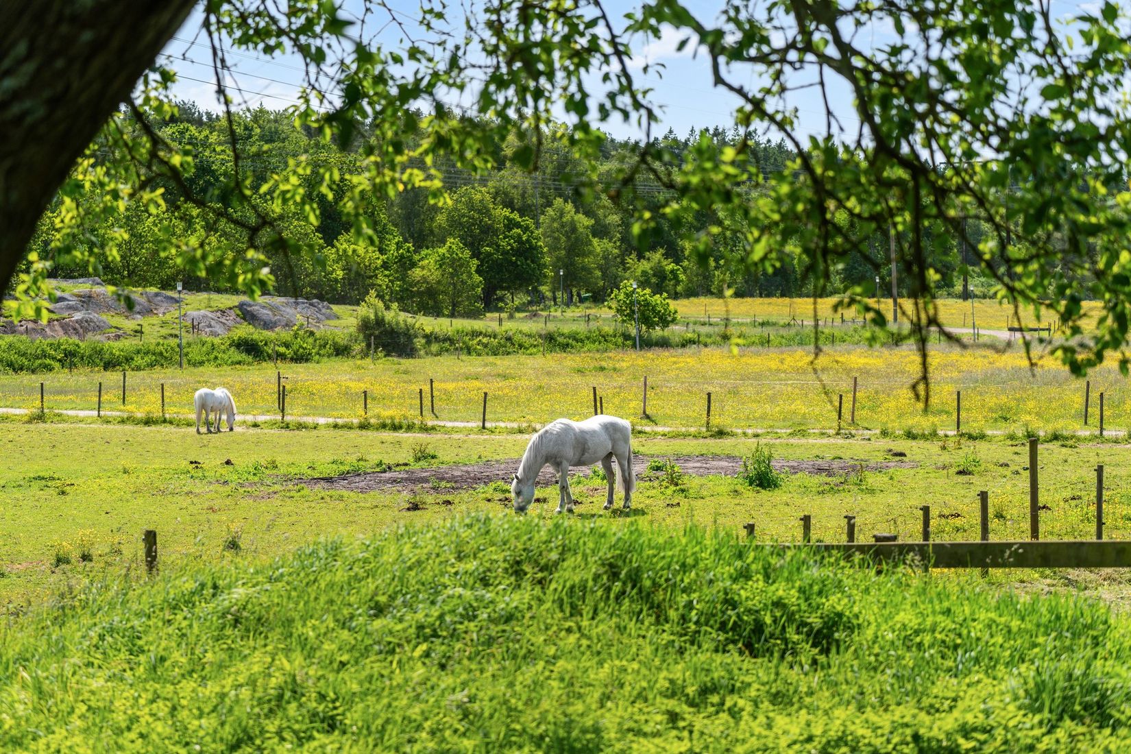 Bostadsrätt, Arves Marias Väg 7, Tuve, Göteborg