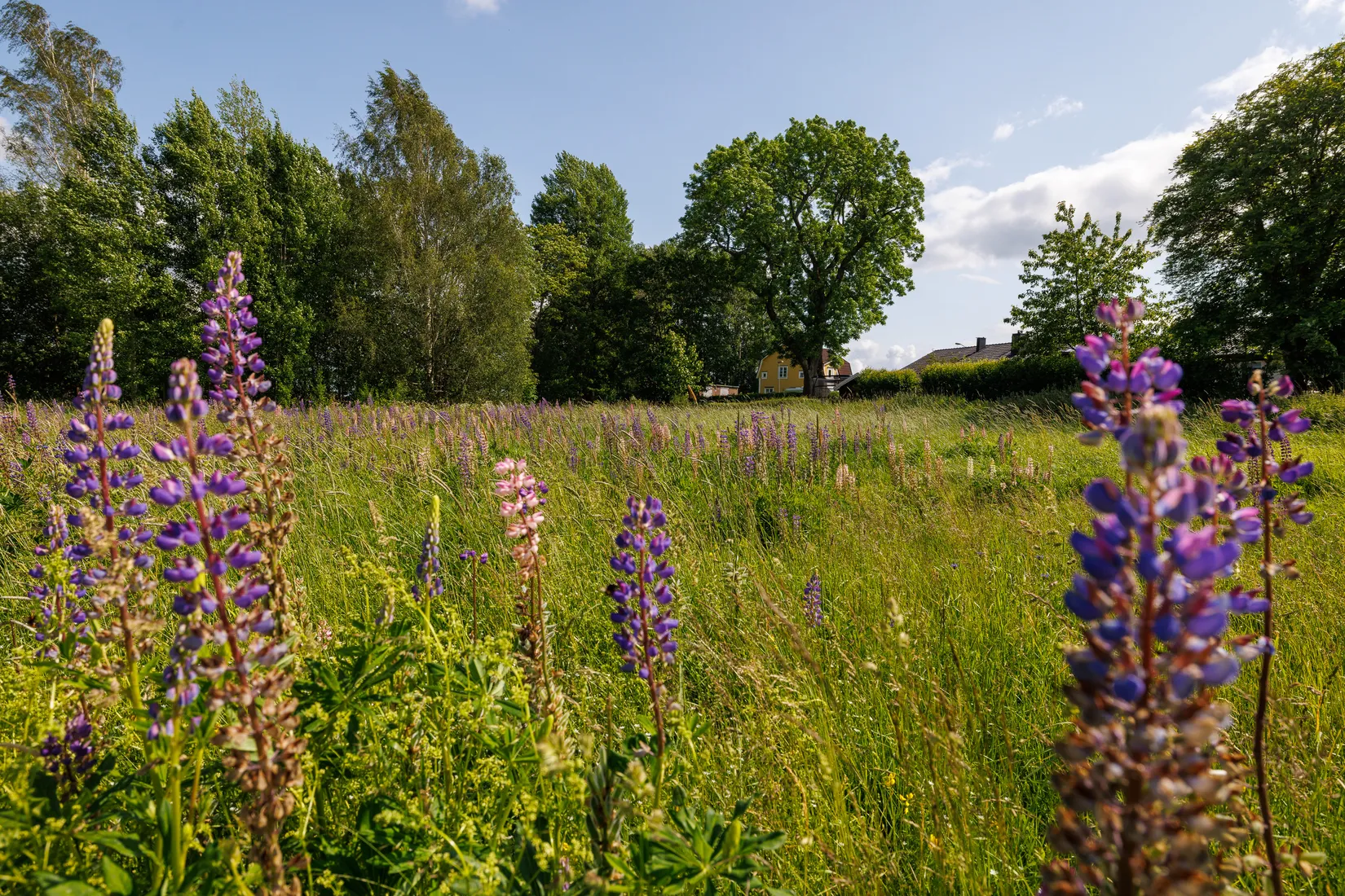Villa, Backstugevägen 20, Smedstorp, Kumla