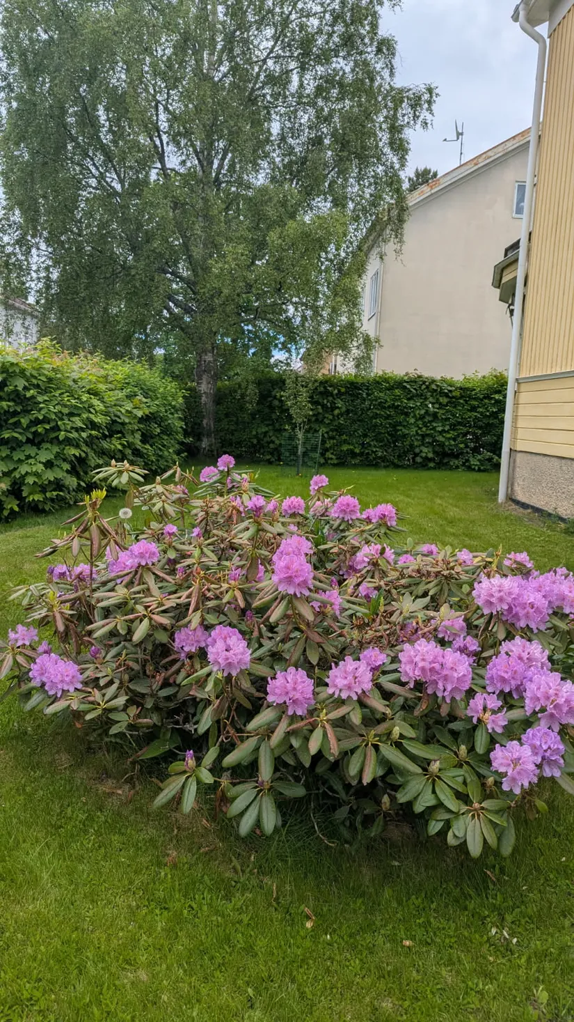 Villa, Norrbölegatan 23, Norrböle, Skellefteå