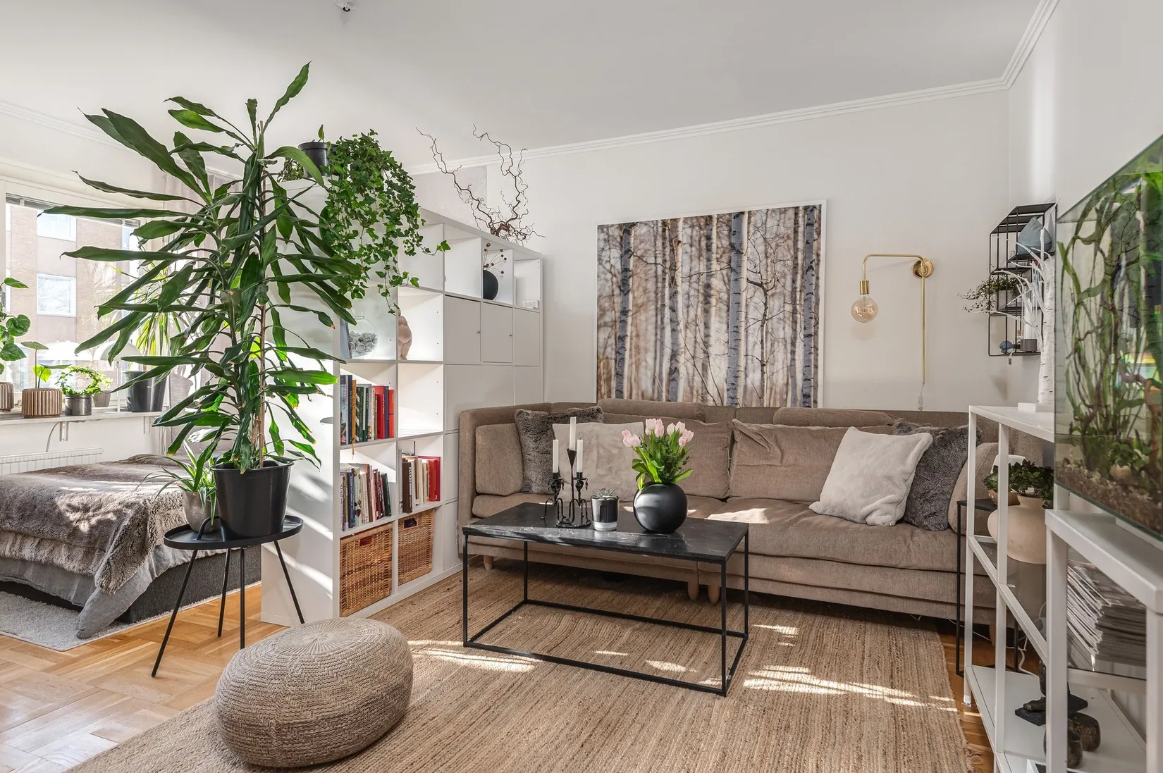 Bostadsrätt, Skiftesgången 2, Norrköping